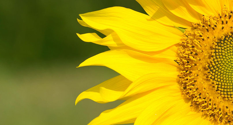 價(jià)位合理化，產(chǎn)品高標(biāo)準(zhǔn)